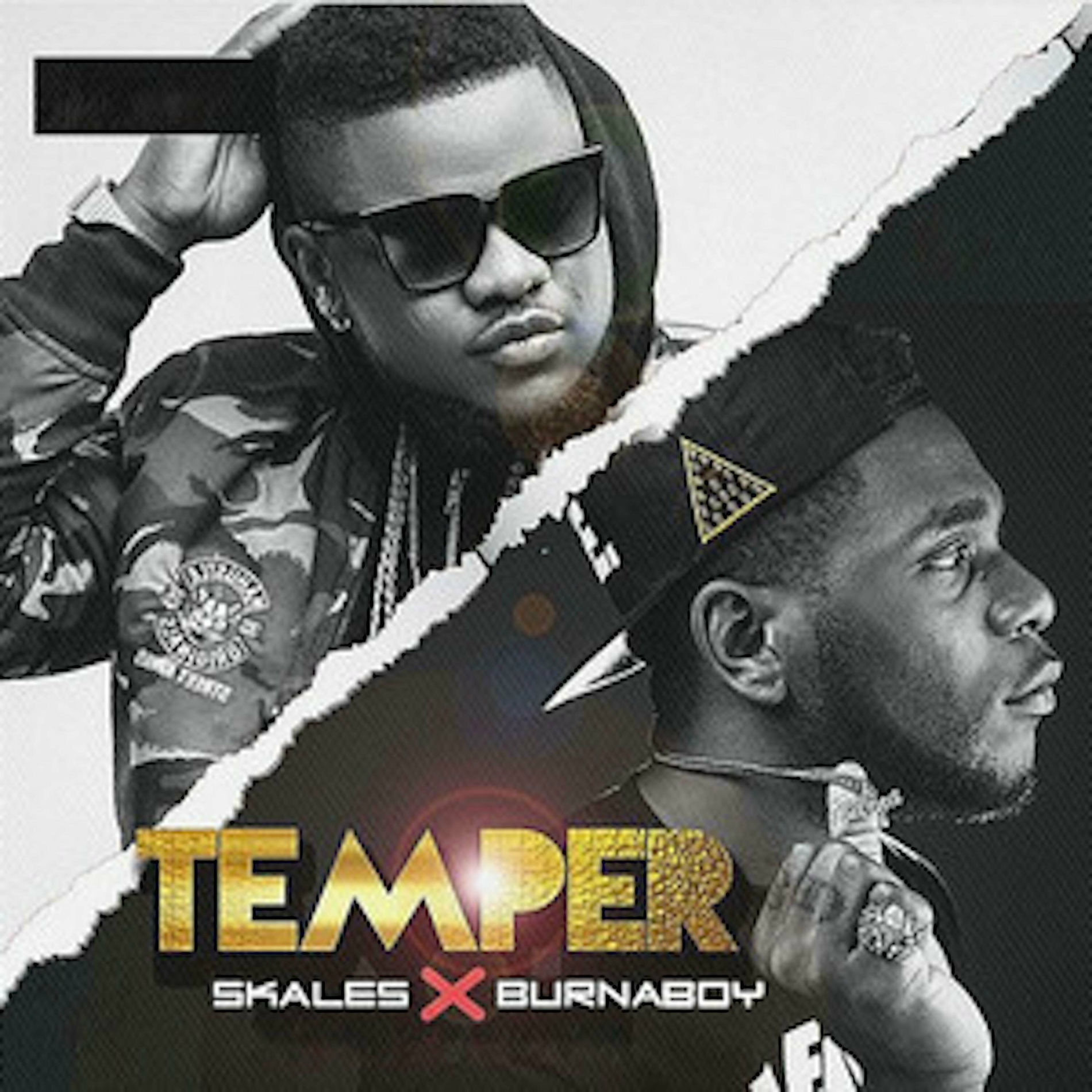 Album cover of Temper