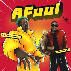 Cover of A Fuul