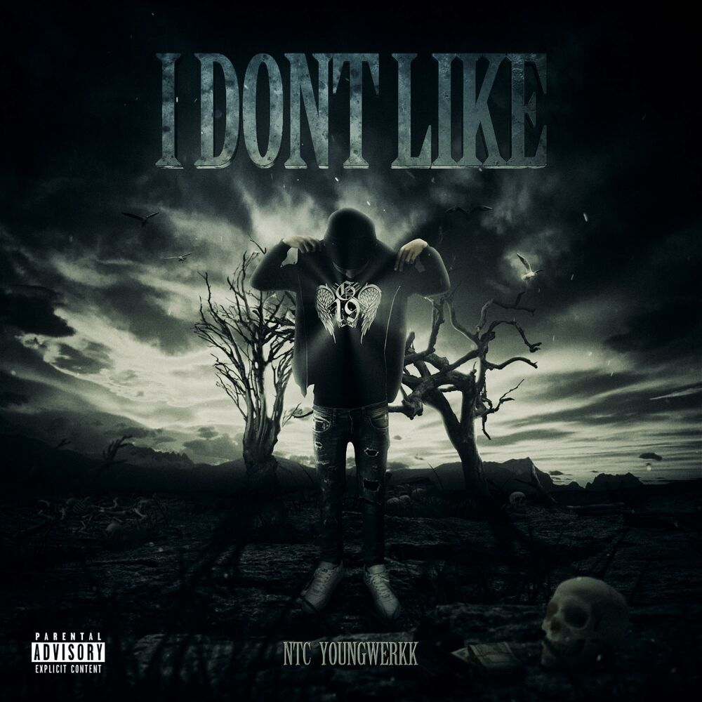 Picture of I Don't Like