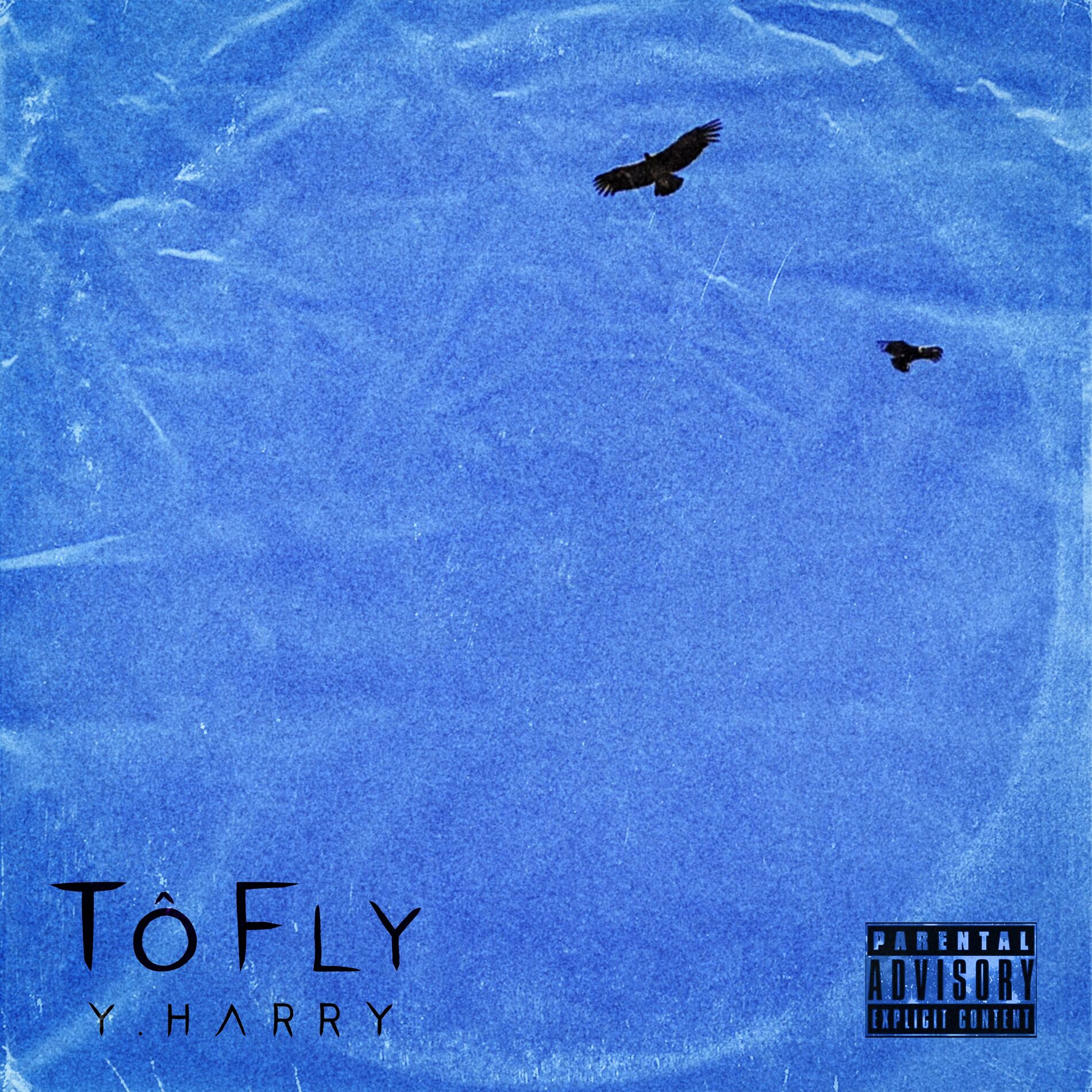 Album cover of Tô Fly