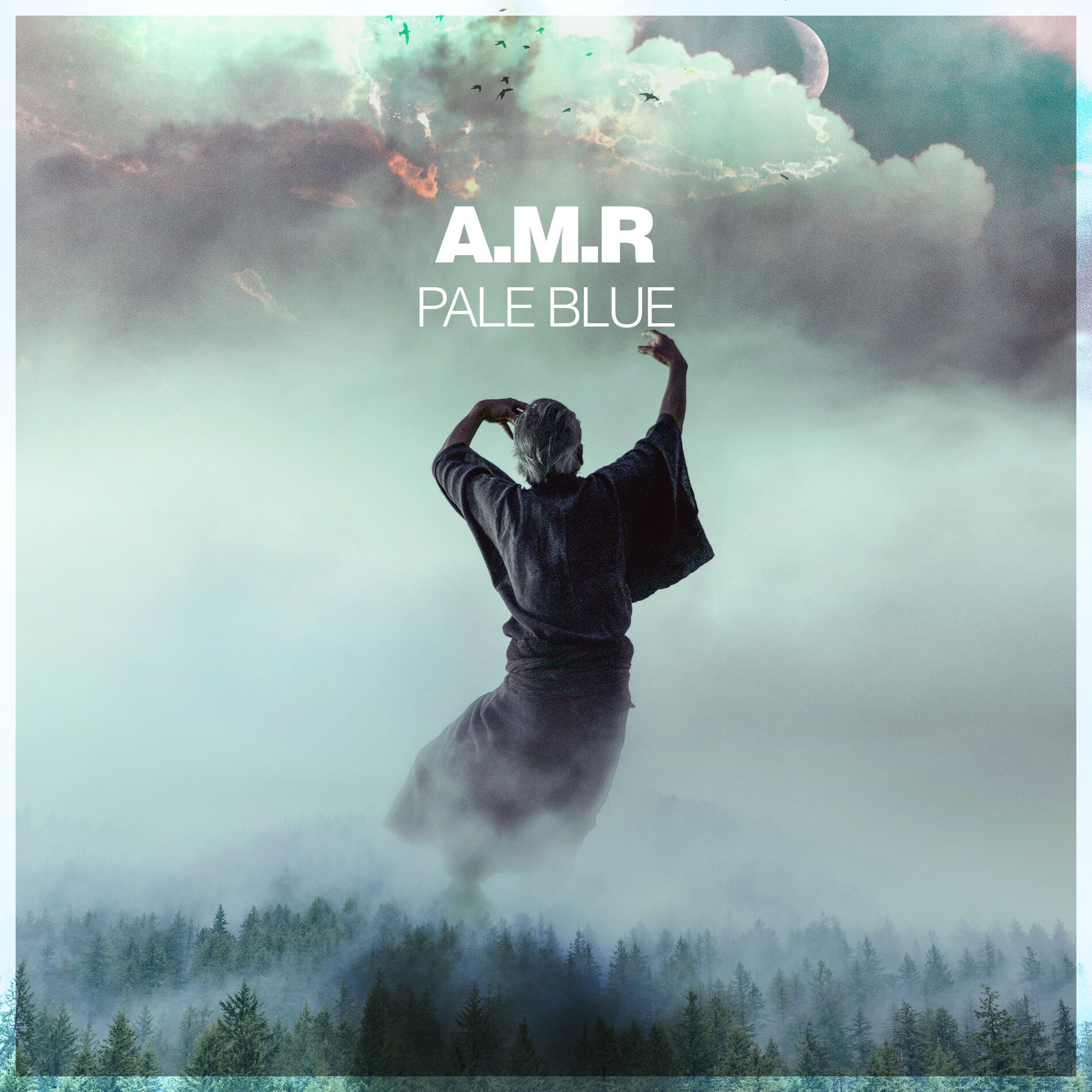 Album cover of Pale Blue