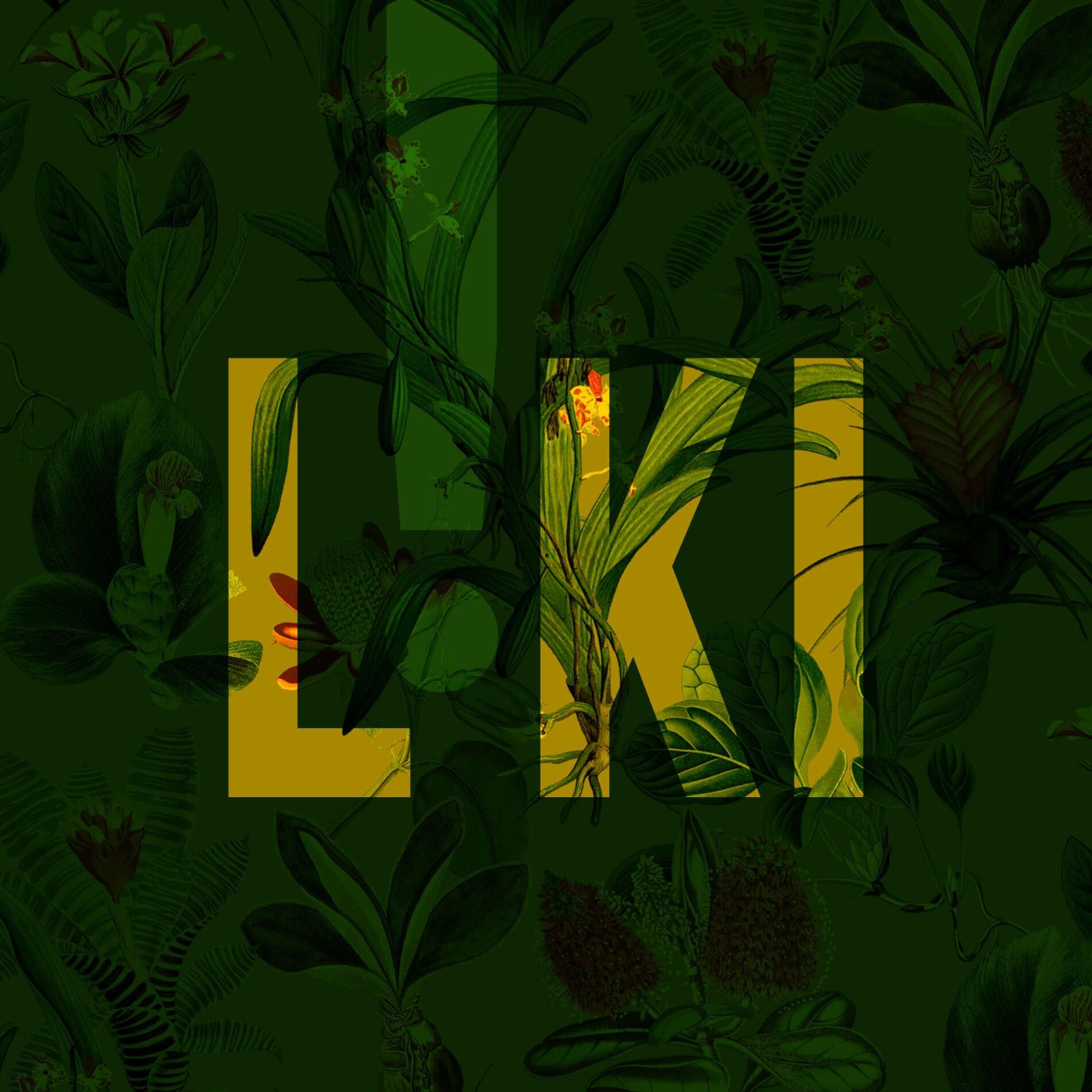 Album cover of LOKI (feat. Rogue) [Remix]