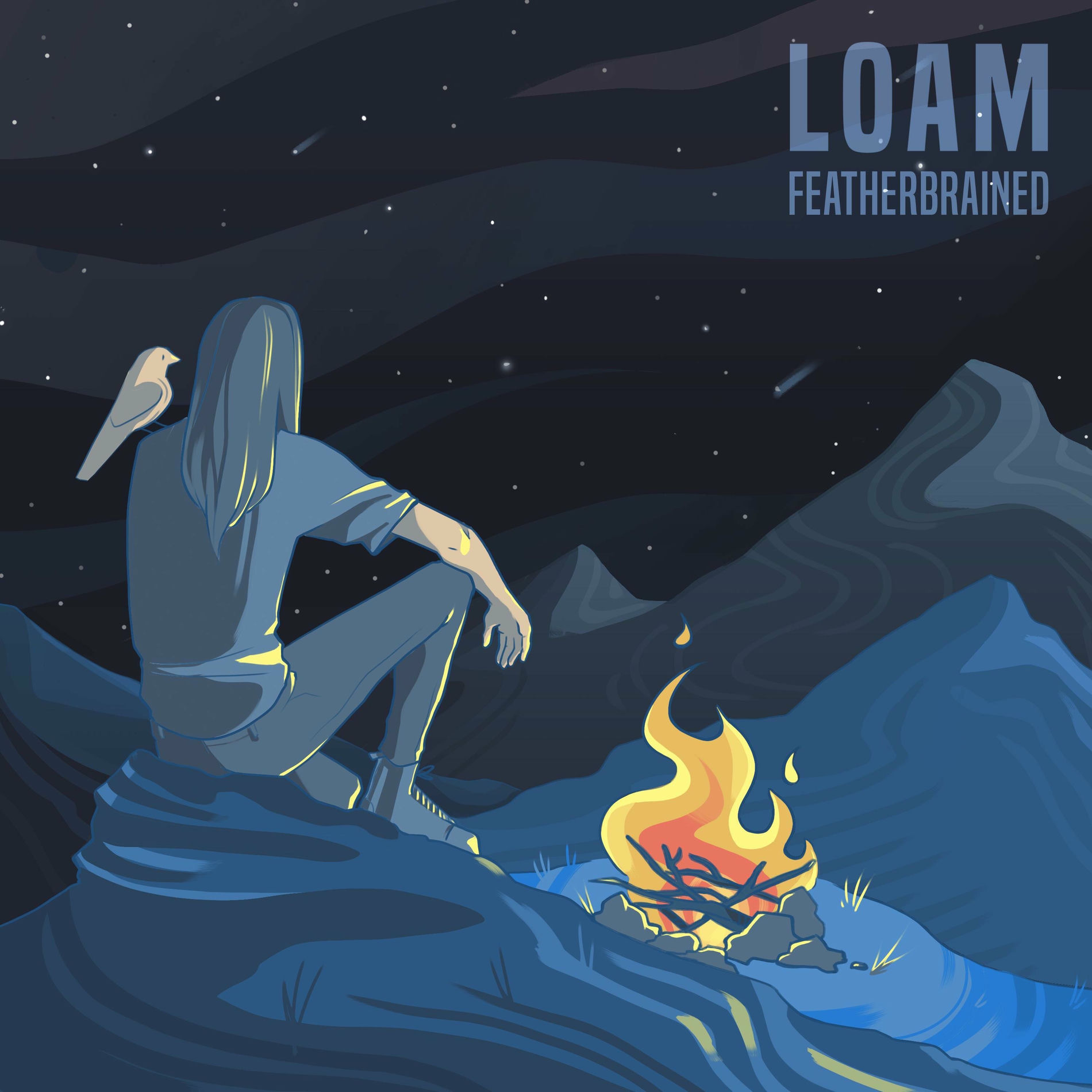 Album cover of Featherbrained