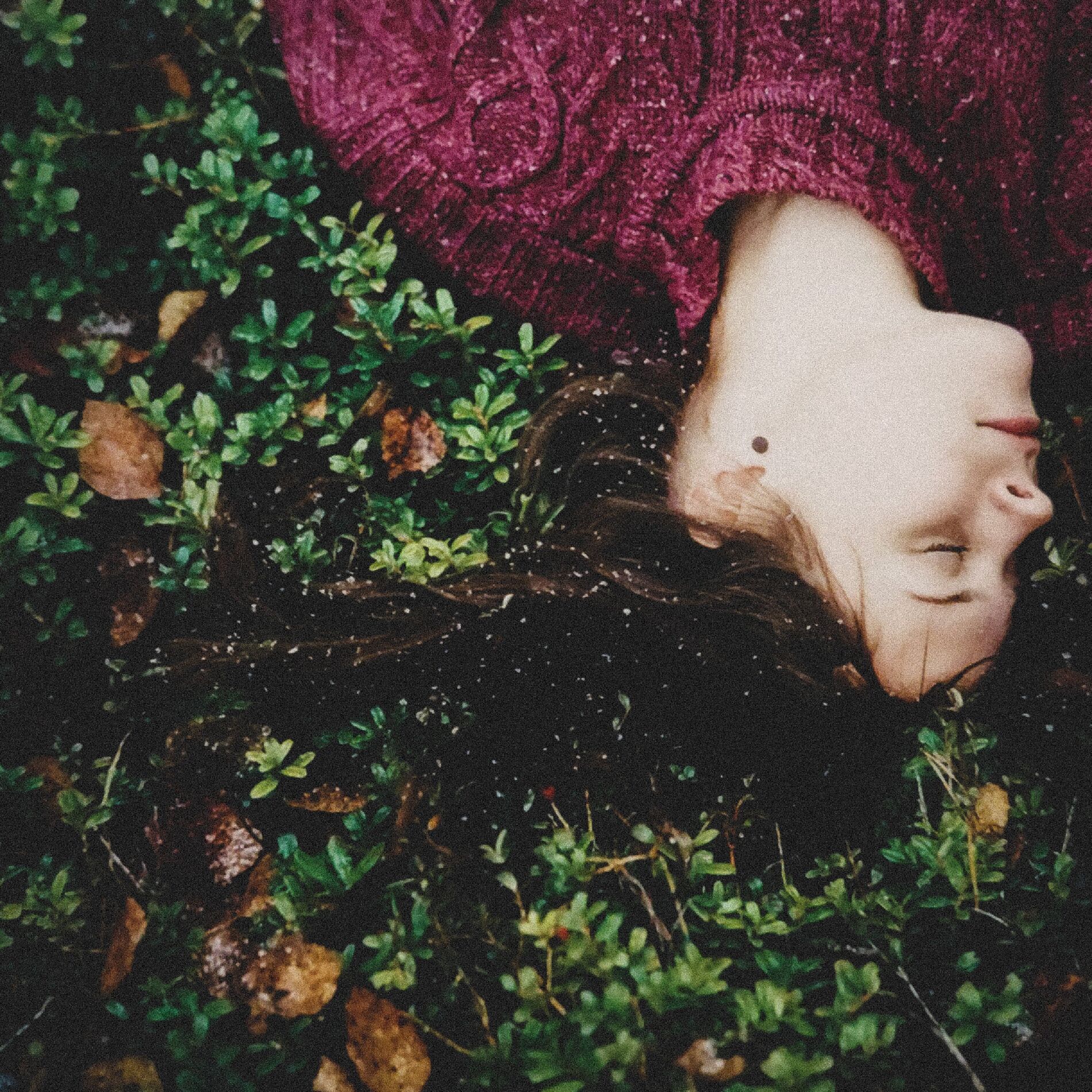 Album cover of Without