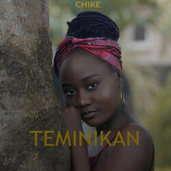 Cover of Teminikan