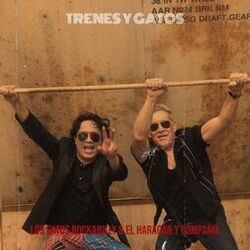 Trenes y Gatos