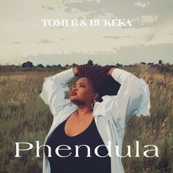Cover of Phendula