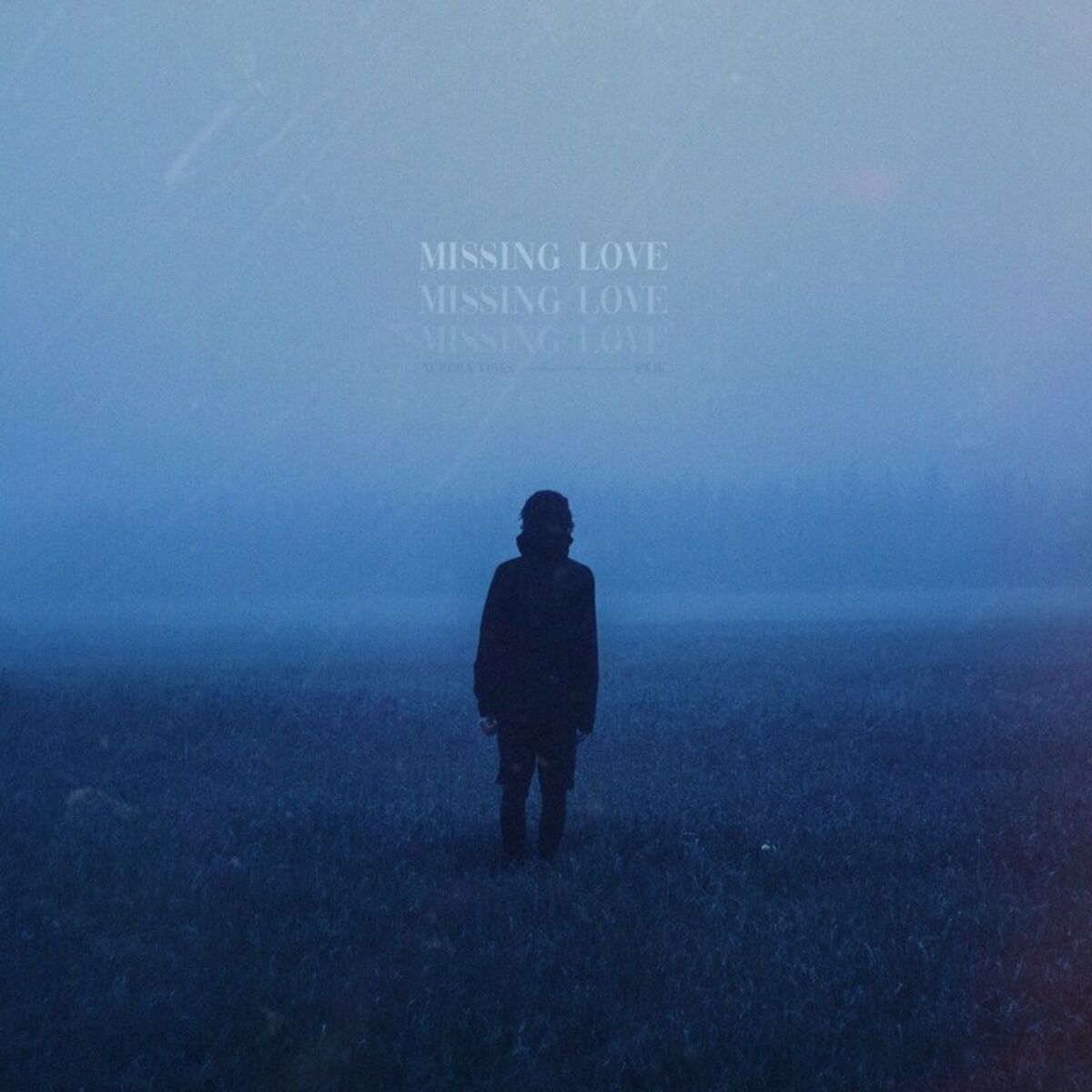 Album cover of Missing Love
