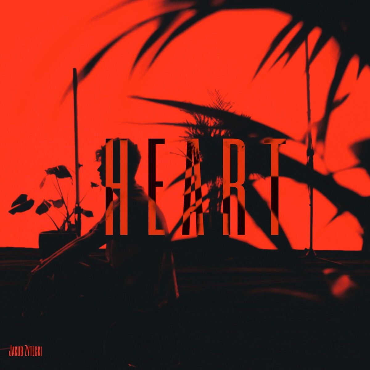 Album cover of HEART