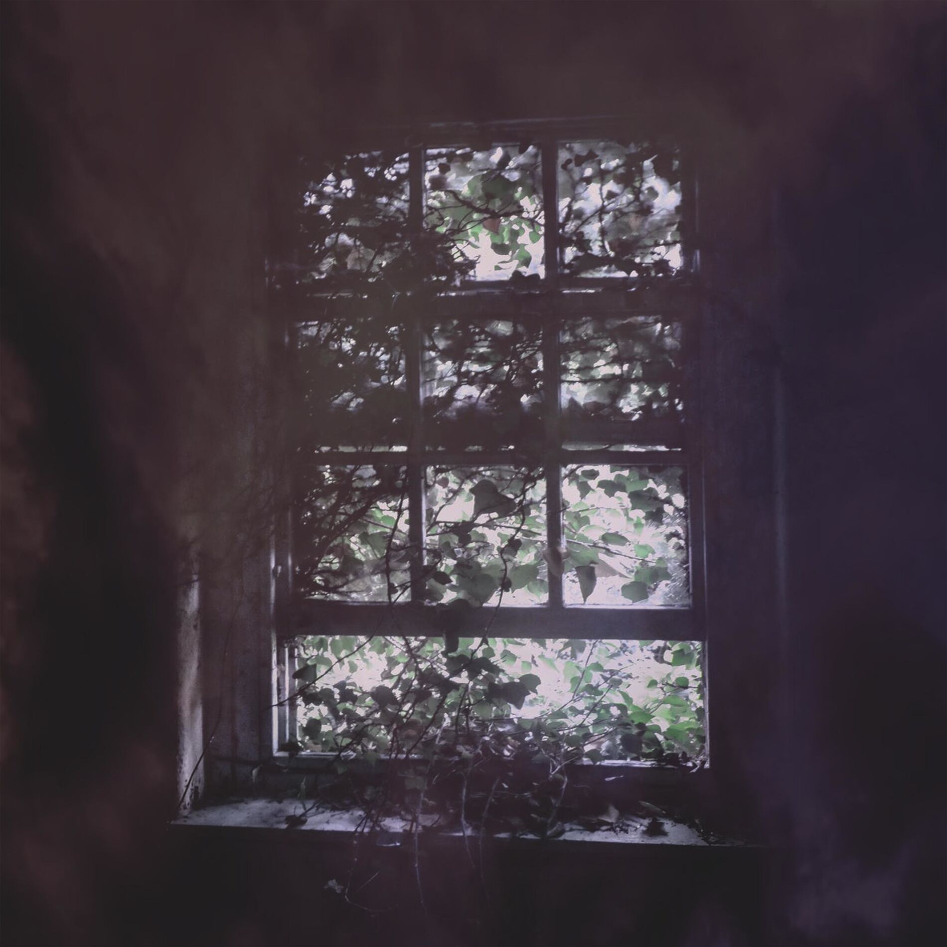 Album cover of Desilusión (f)
