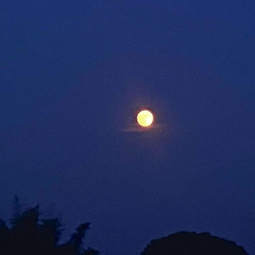 moon