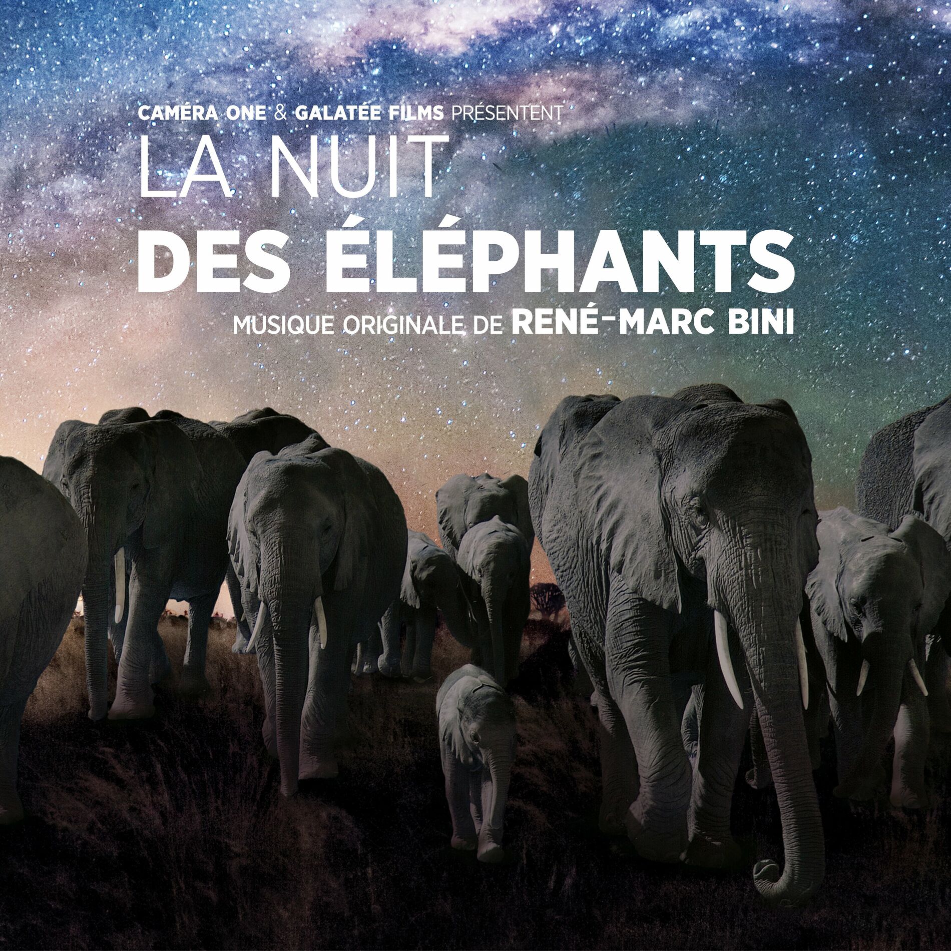 Album cover of La nuit des éléphants (Bande originale du film)