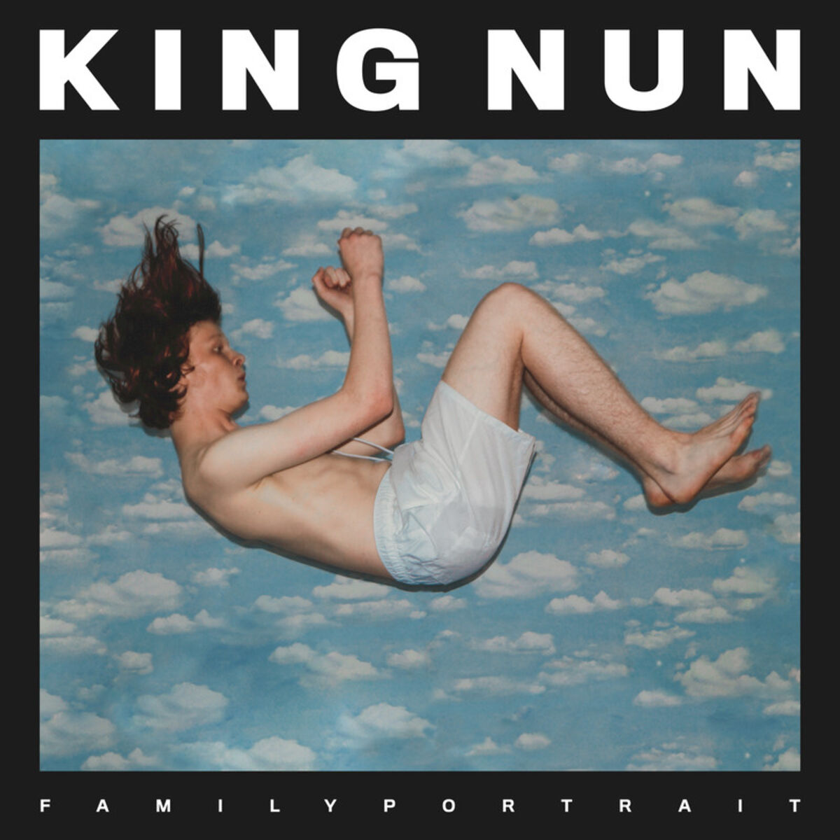Album cover of Family Portrait
