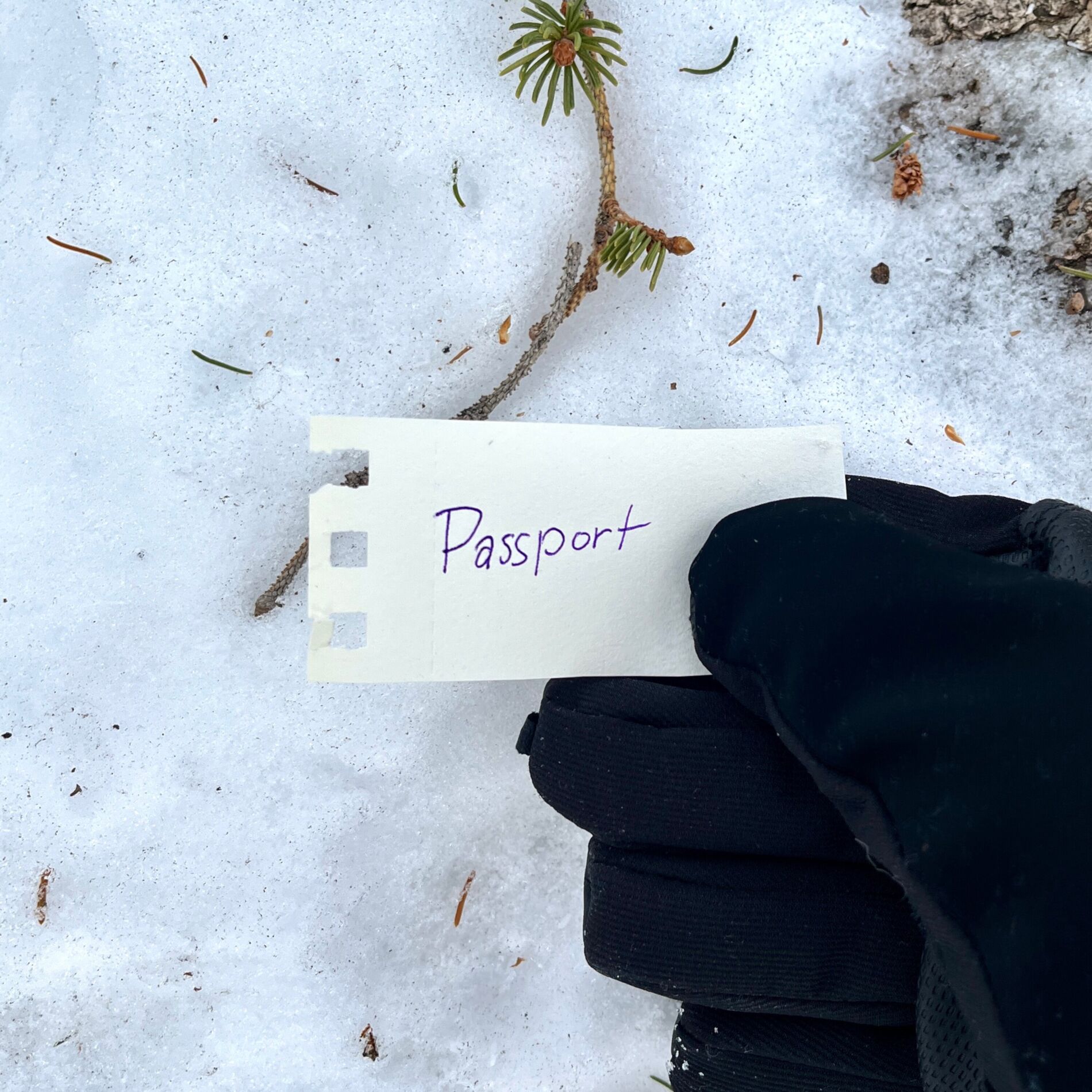 Album cover of Passport
