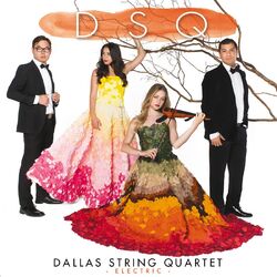 Cover of DSQ