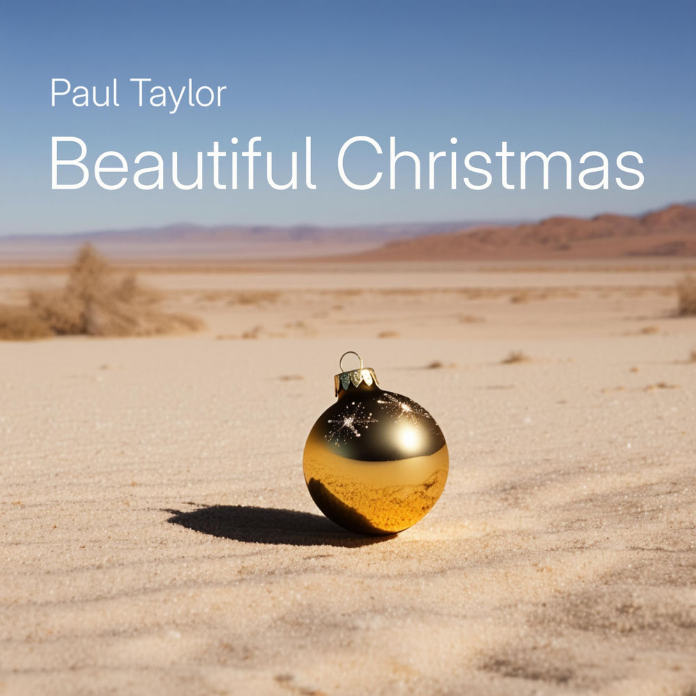 Beautiful Christmas cover