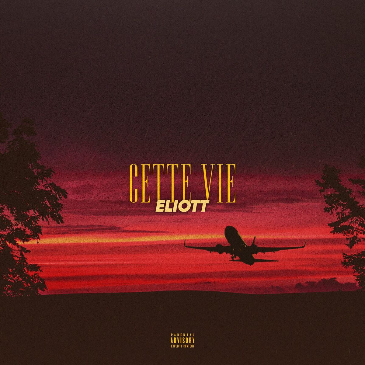 Album cover of Cette vie