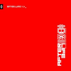 Cover of AfterLife