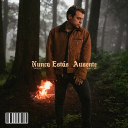 Cover of Nunca estás ausente