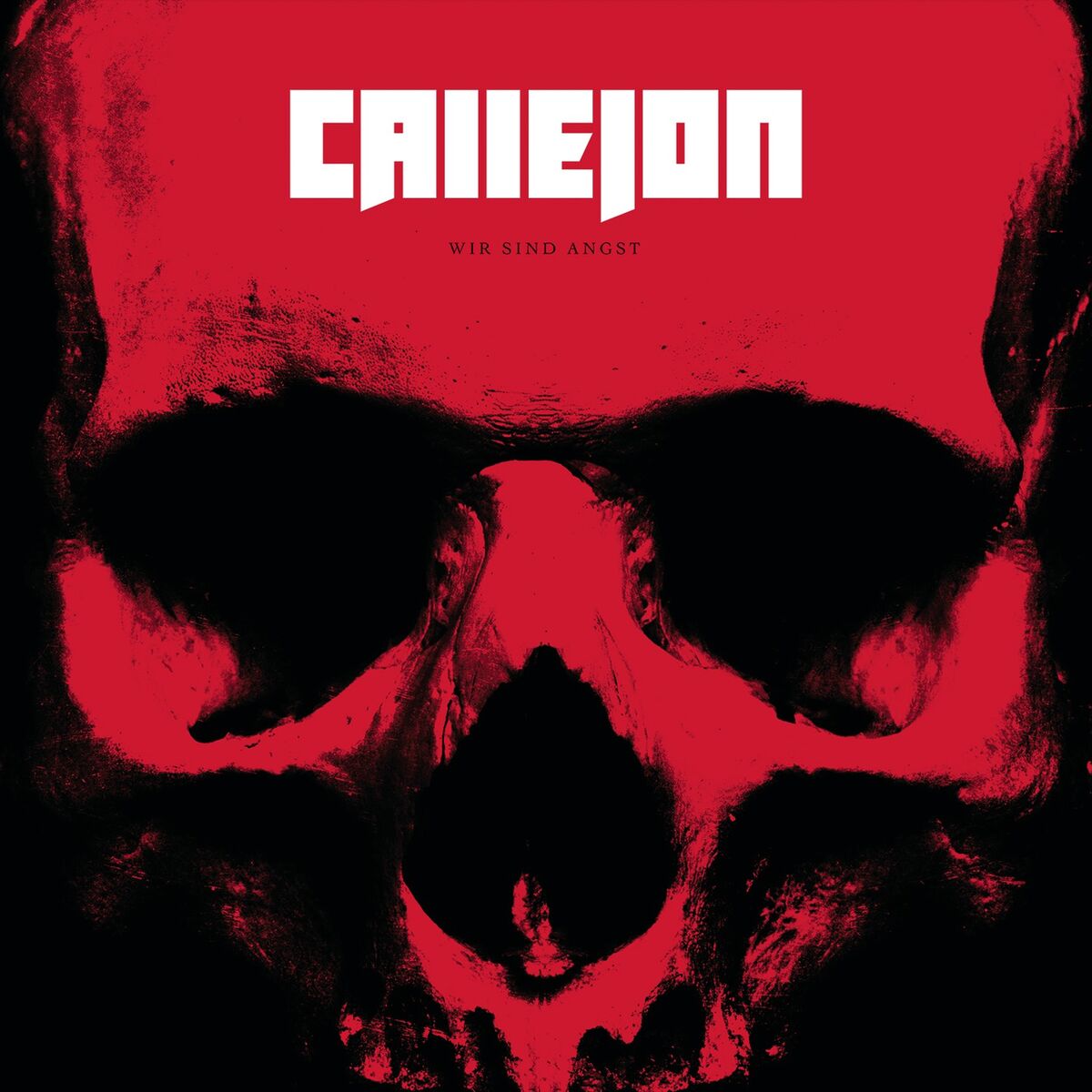 Album cover of Dunkelherz