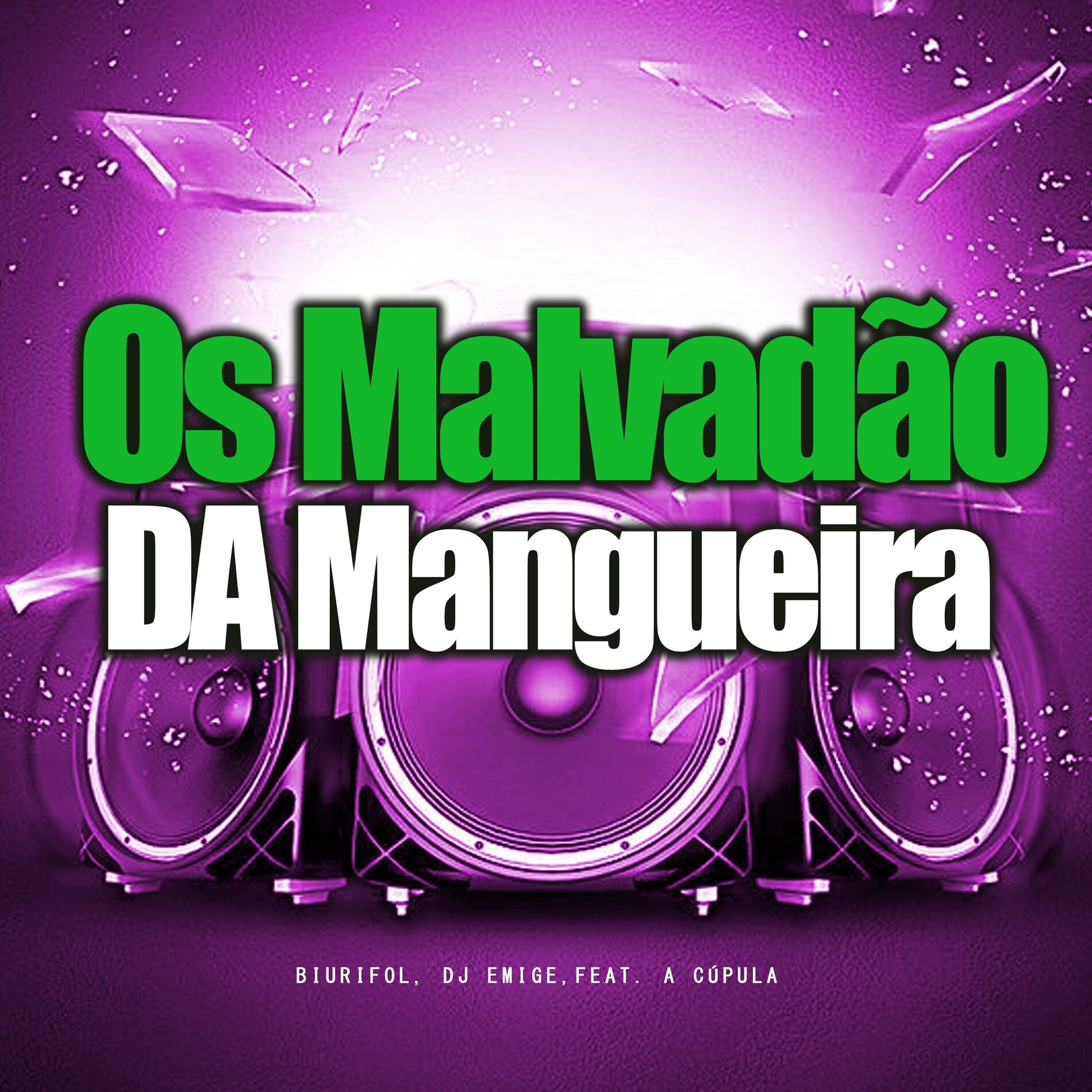 Album cover of Os Malvadão da Mangueira