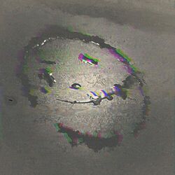 Cover of Perspectives