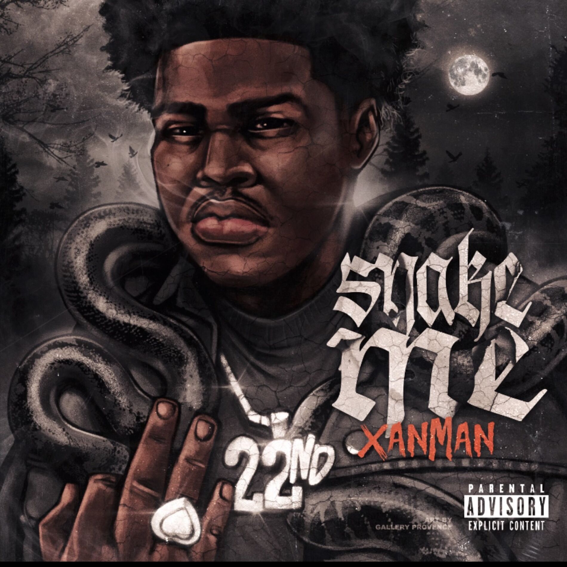 Album cover of Snake Me
