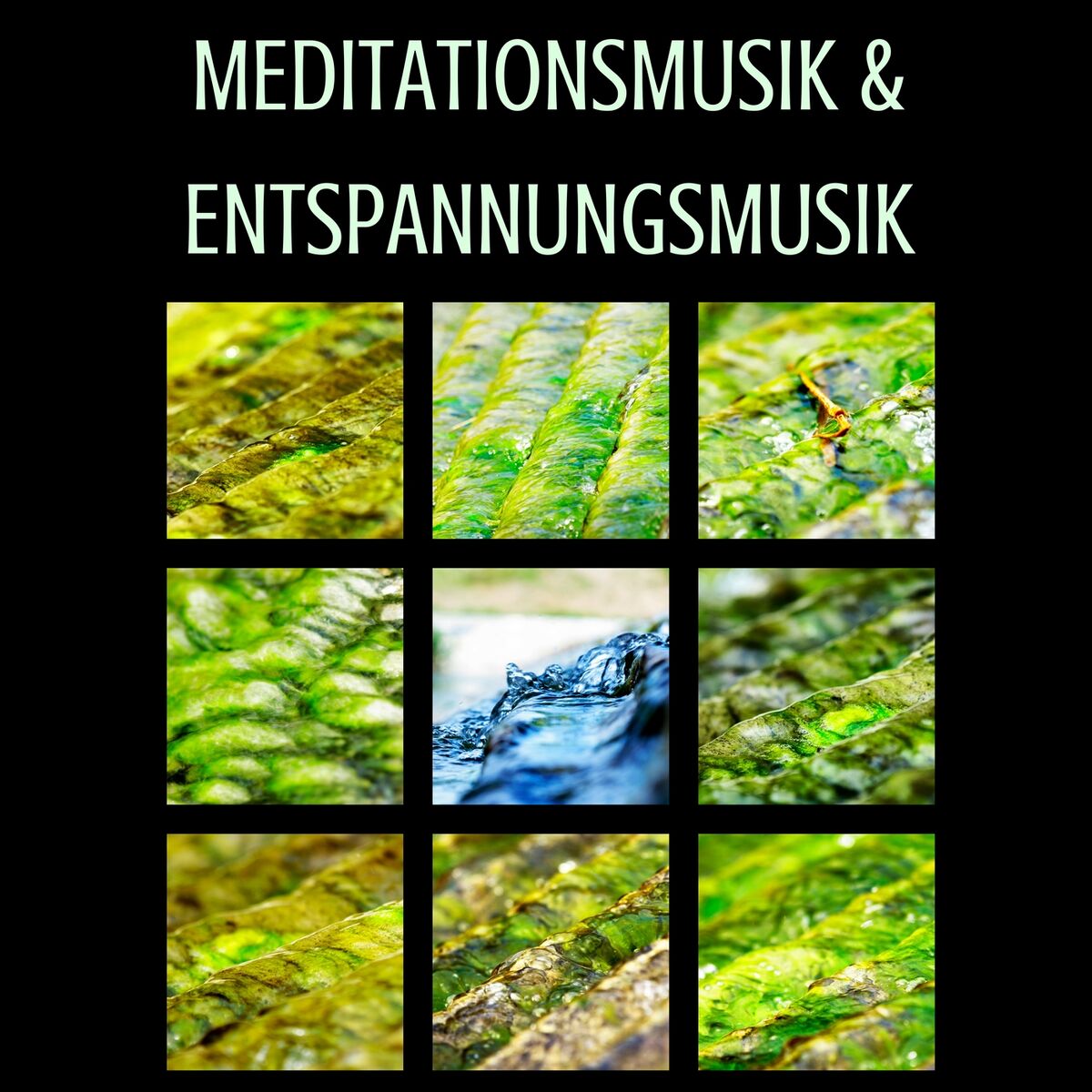 Album cover of Meditationsmusik & Entspannungsmusik - 3 Stunden Beruhigende Musik für Körper und Geist, Wellness Spa Musik für Autogenes Training