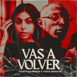 Cover of Vas a Volver