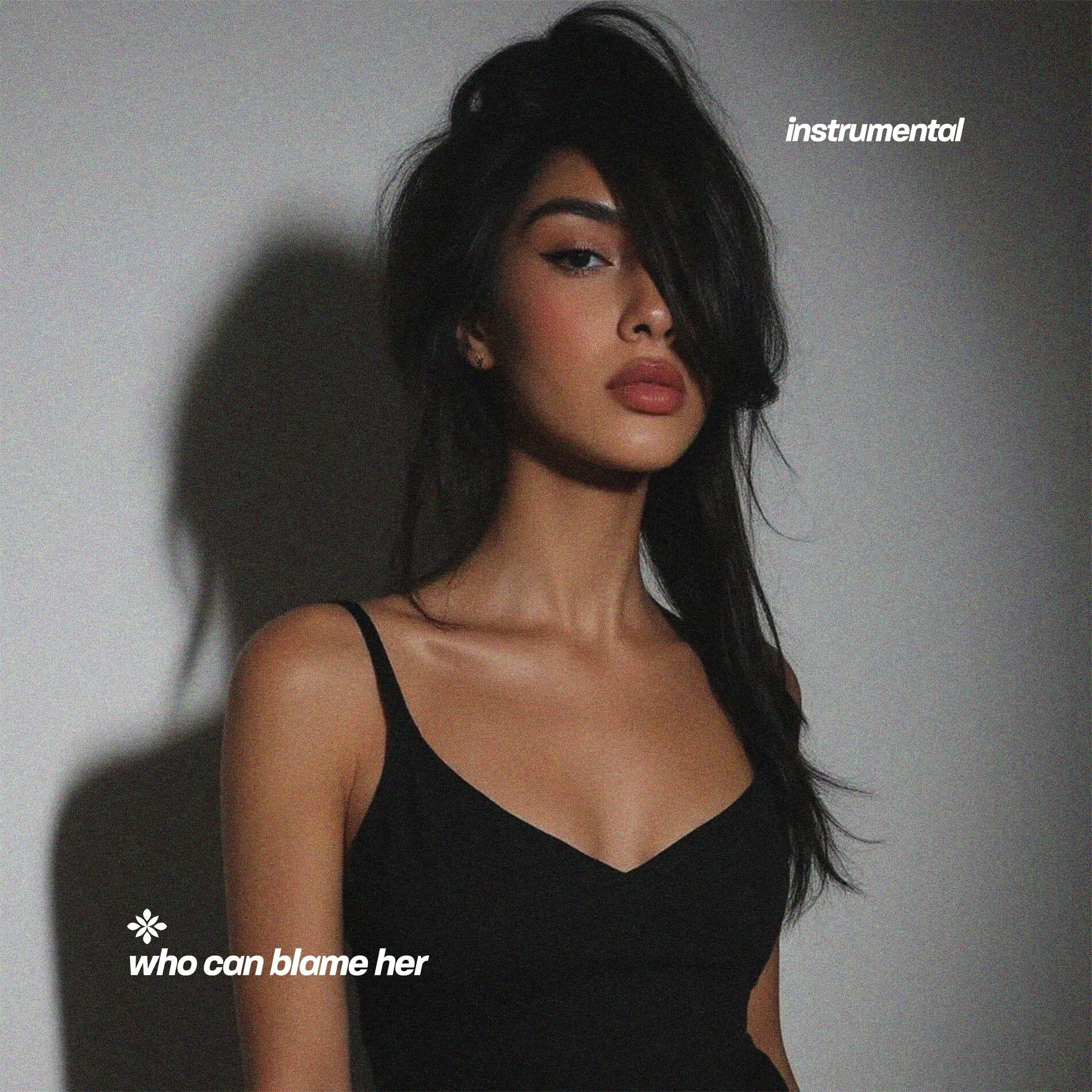 Album cover of who can blame her (instrumental)