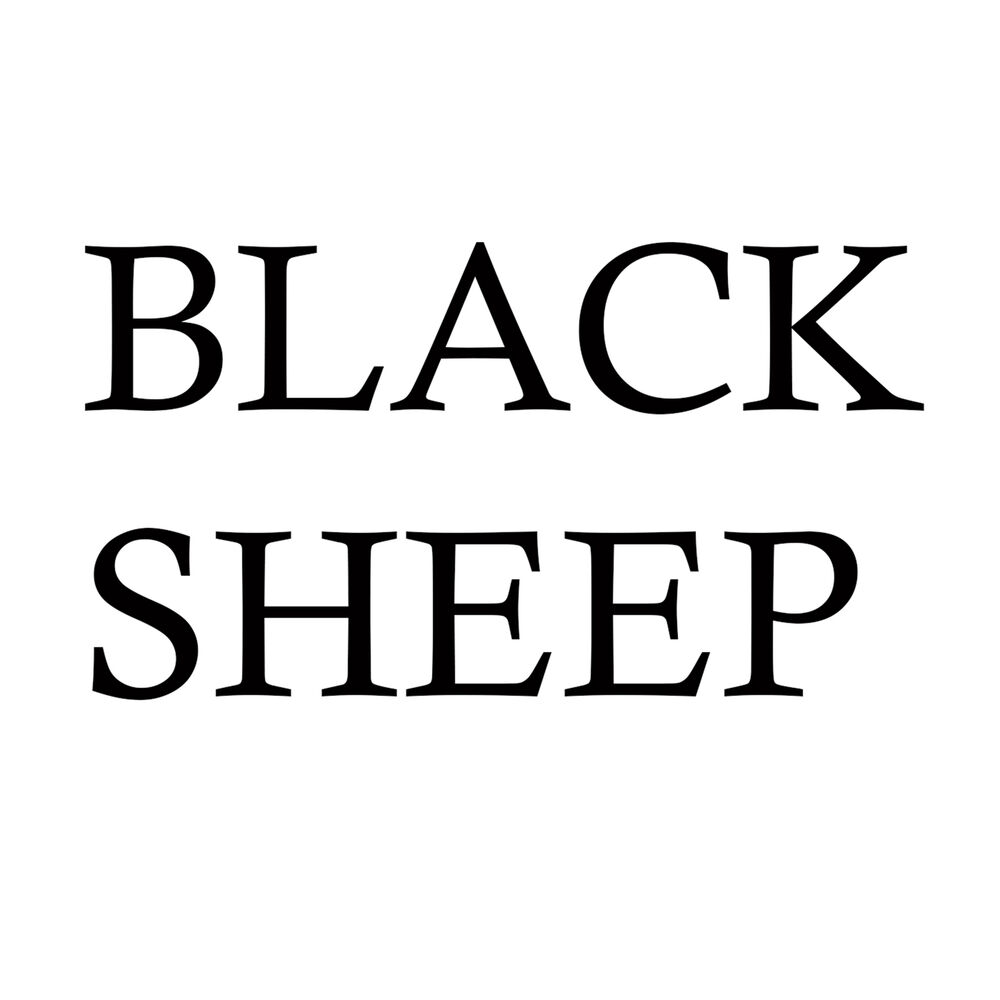 Picture of Black Sheep