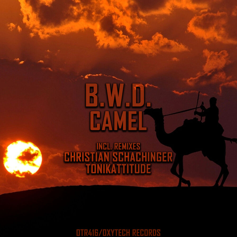 Picture of Camel