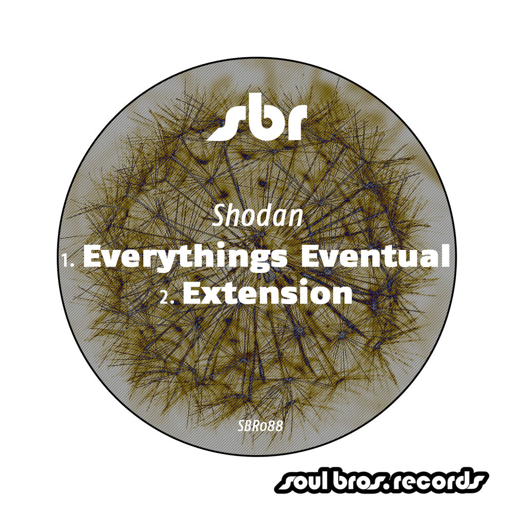Picture of Everythings Eventual / Extension