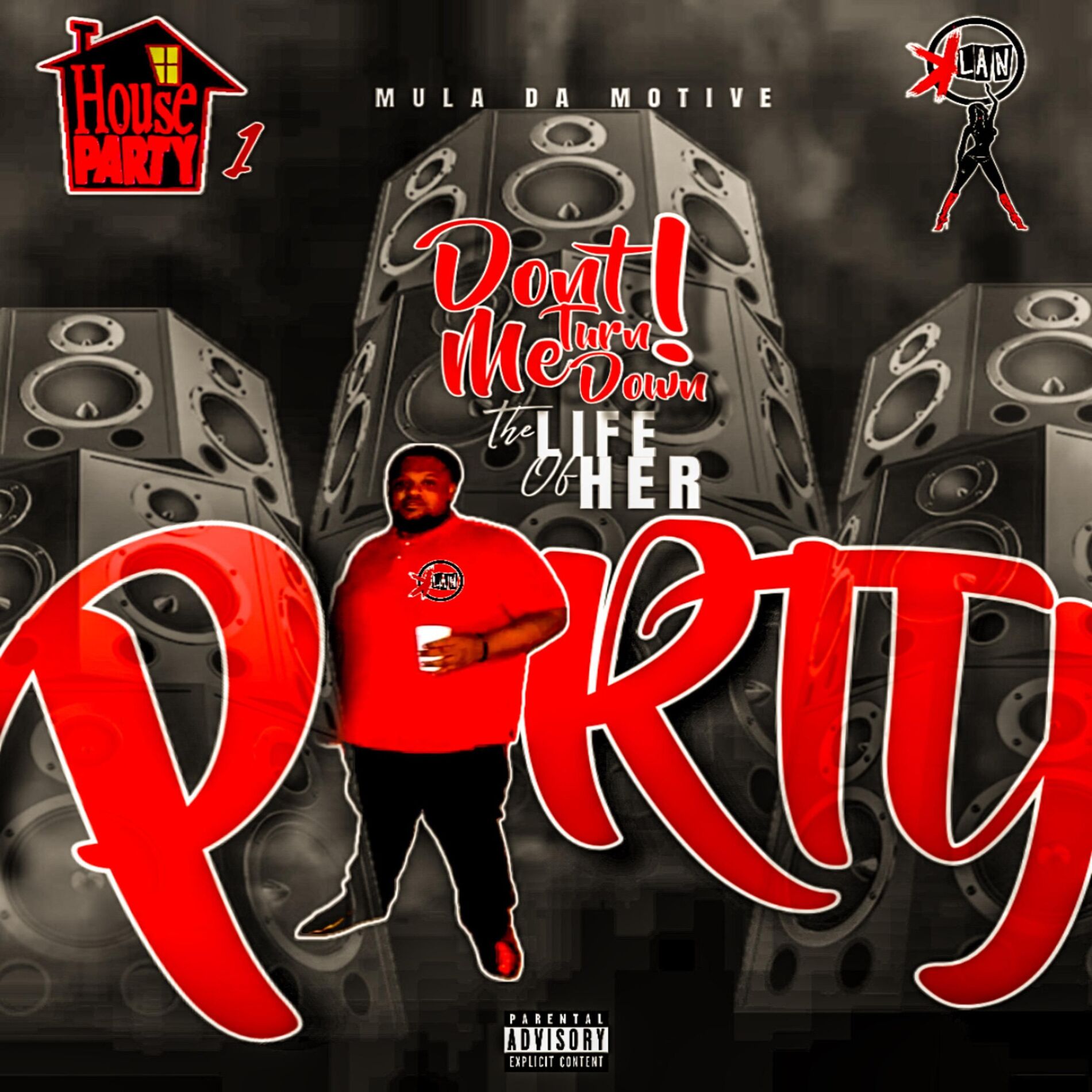 Album cover of DONT TURN ME DOWN (THE LIFE OF HER PARTY)