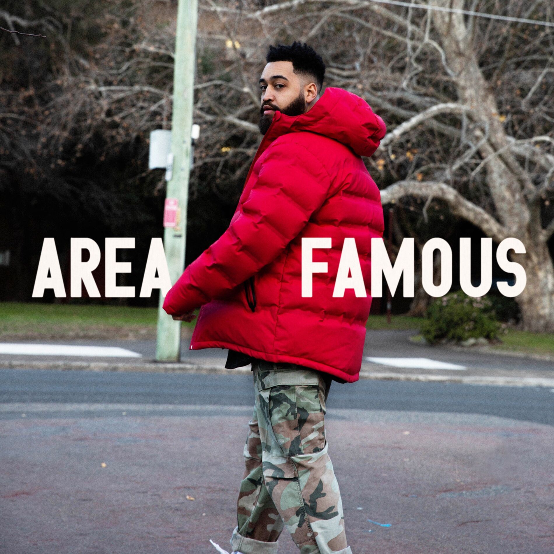 Album cover of Area Famous