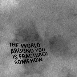 Cover of The World Around You Is Fractured Somehow