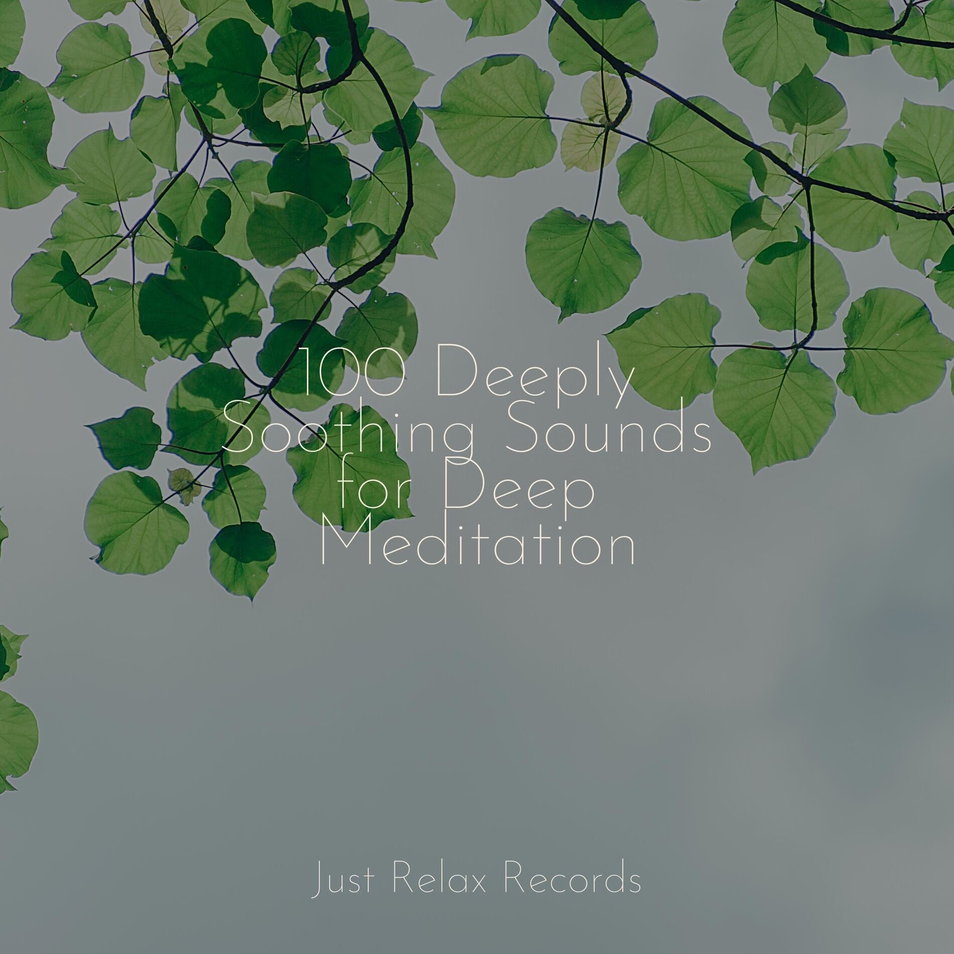 Album cover of 100 Deeply Soothing Sounds for Deep Meditation