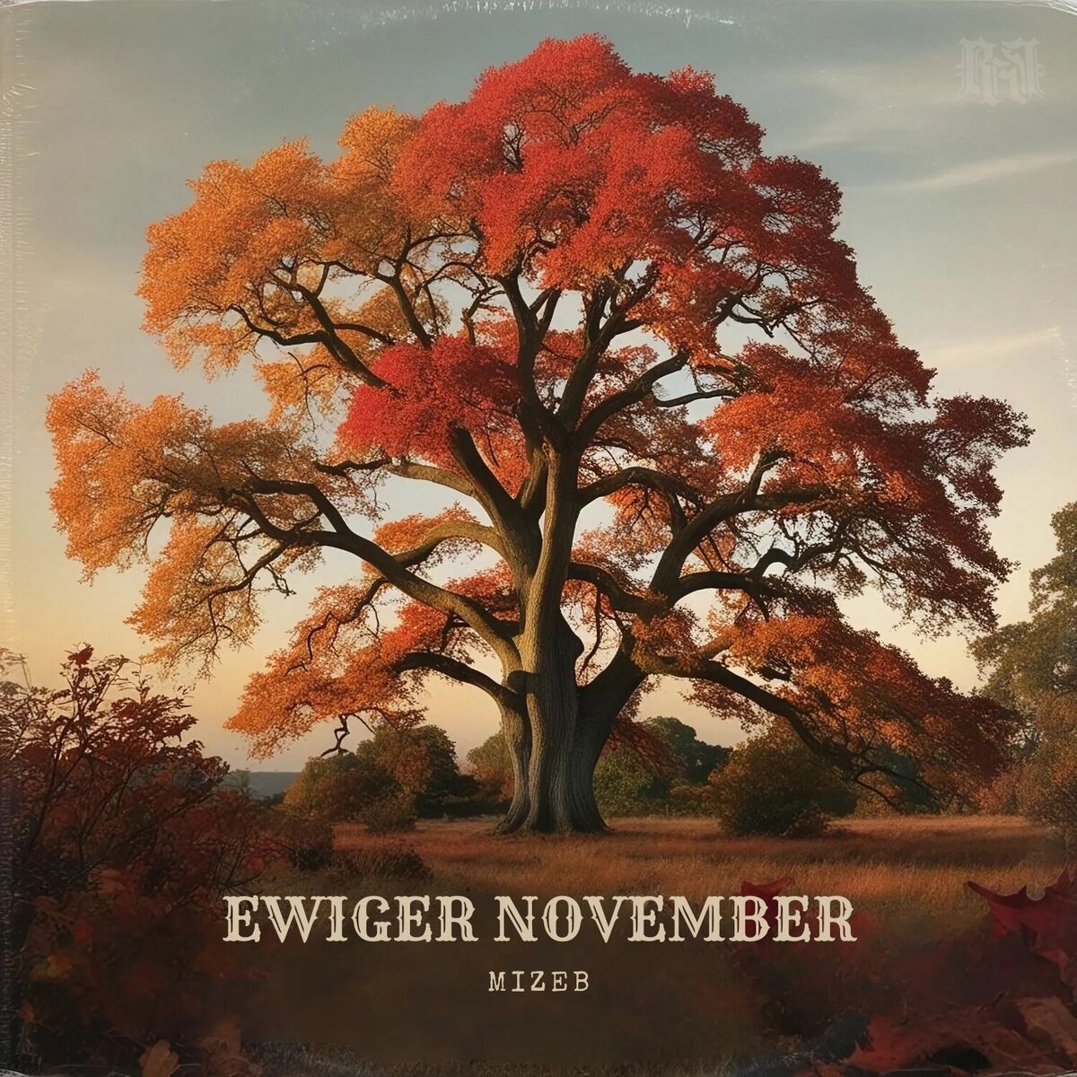 Album cover of Ewiger November