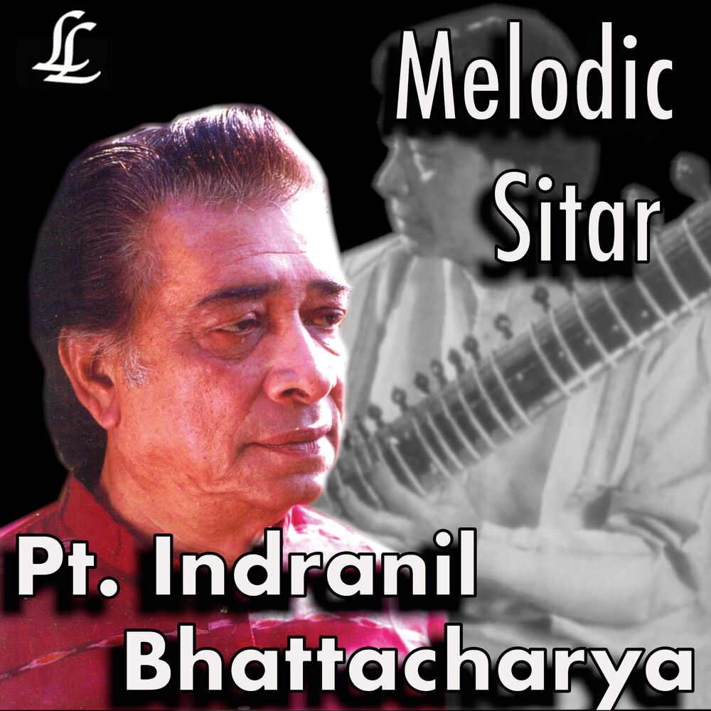 Picture of Melodic Sitar