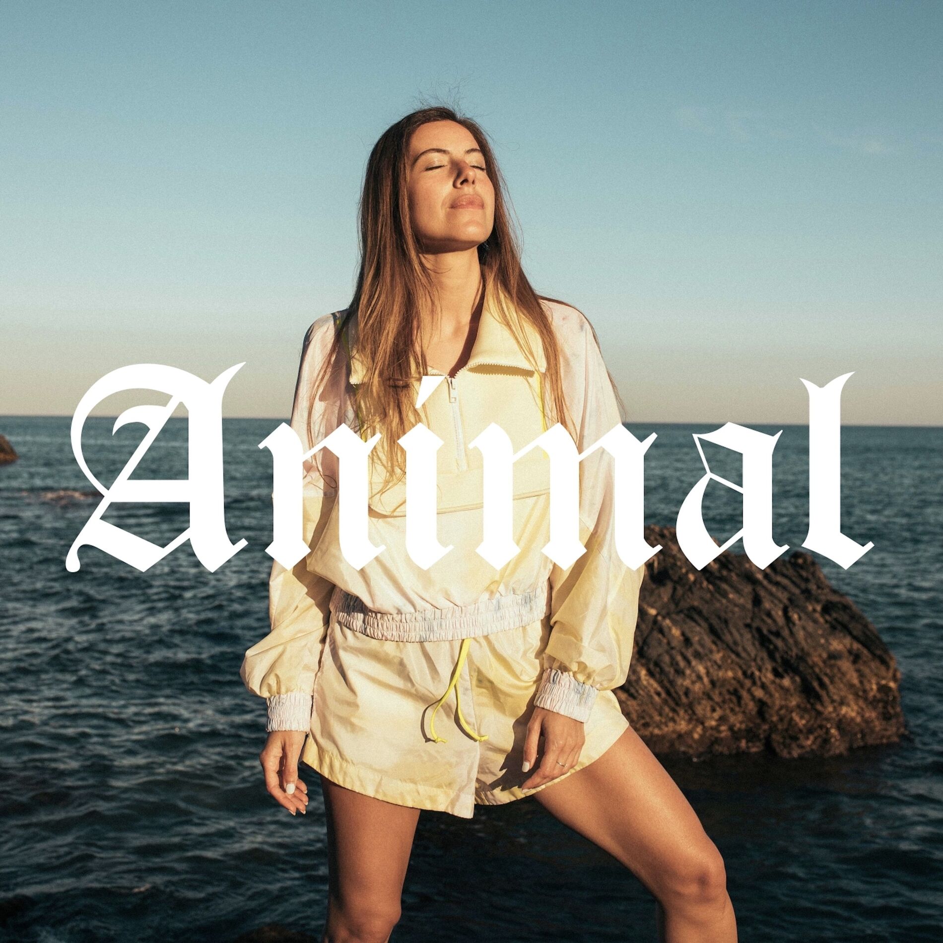 Album cover of Animal