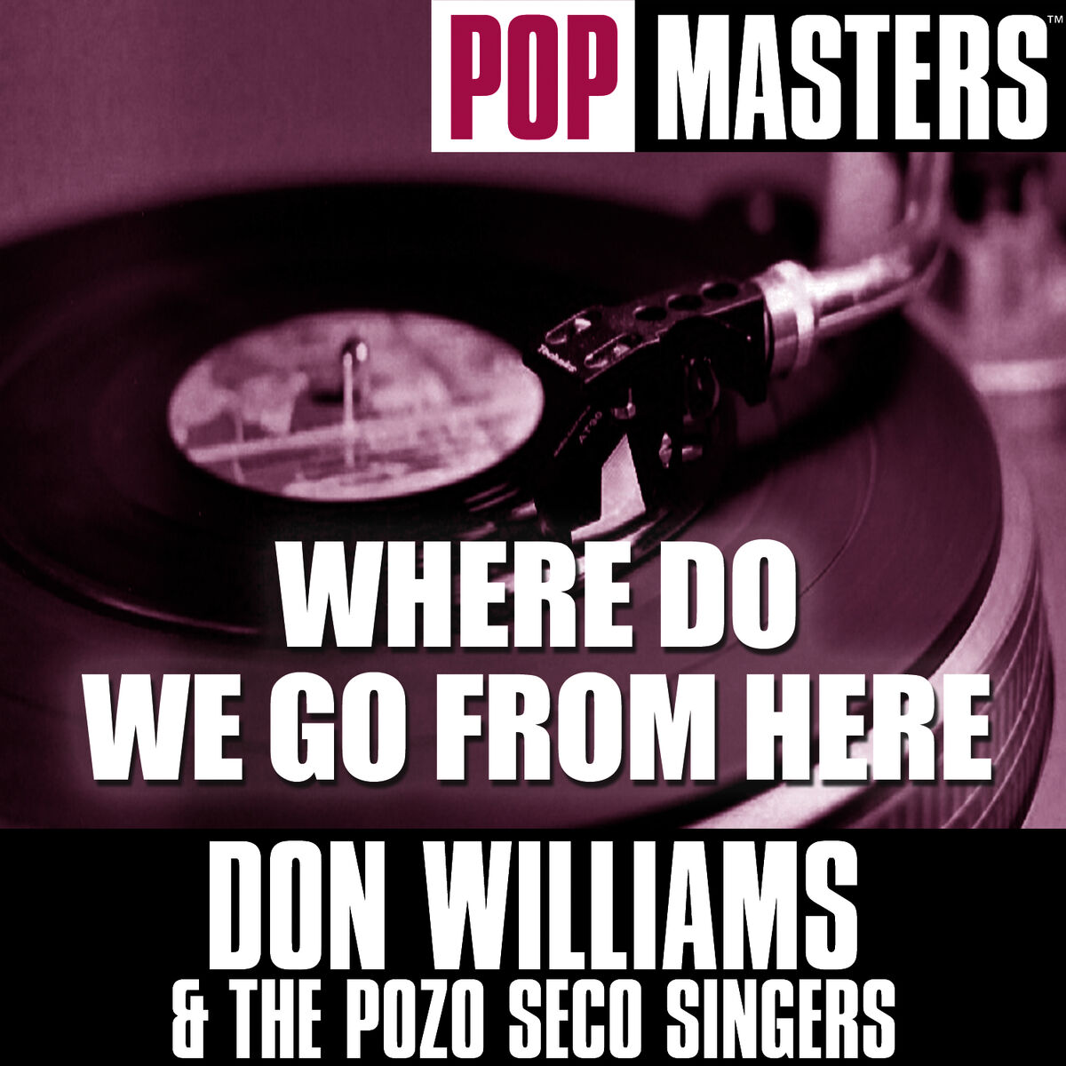 Album cover of Pop Masters: Where Do We Go From Here