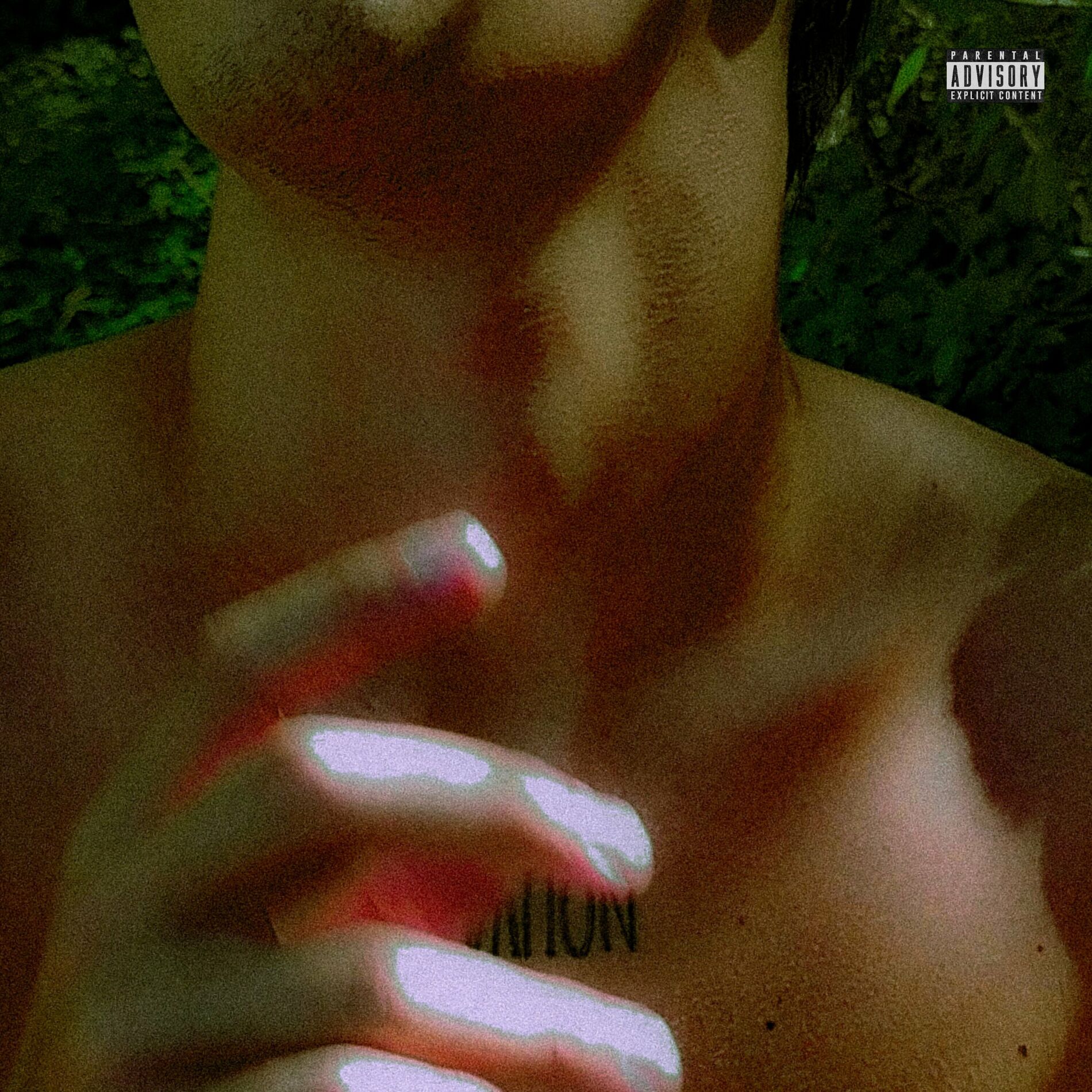 Album cover of Elevation