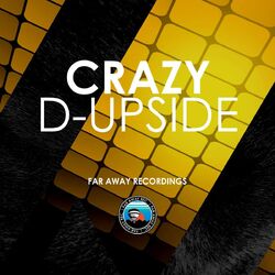 Cover of Crazy