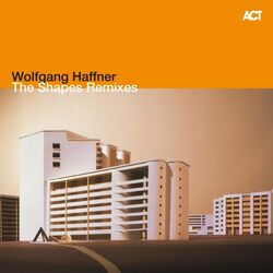 Cover of The Shapes Remixes