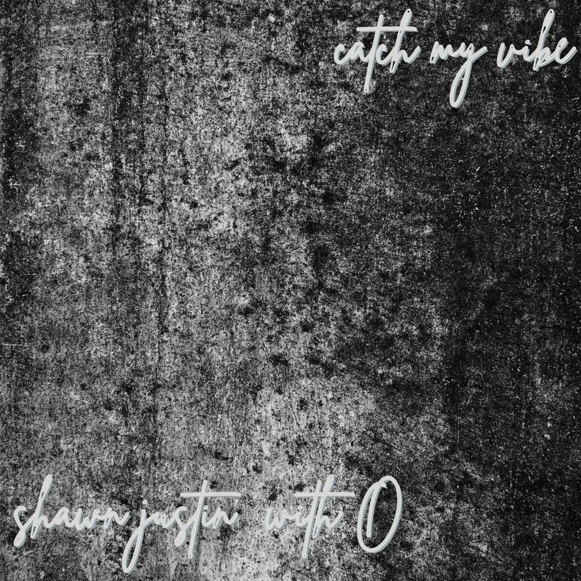 Album cover of Catch My Vibe