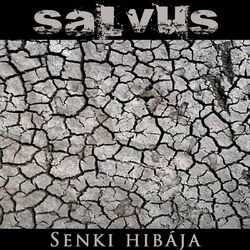 Cover of Senki hibája