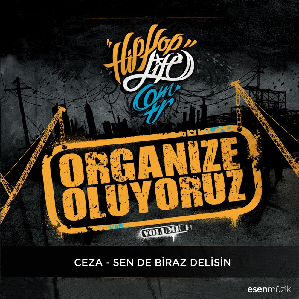 Picture of Sen de Biraz Delisin (Organize Oluyoruz Vol. 1)