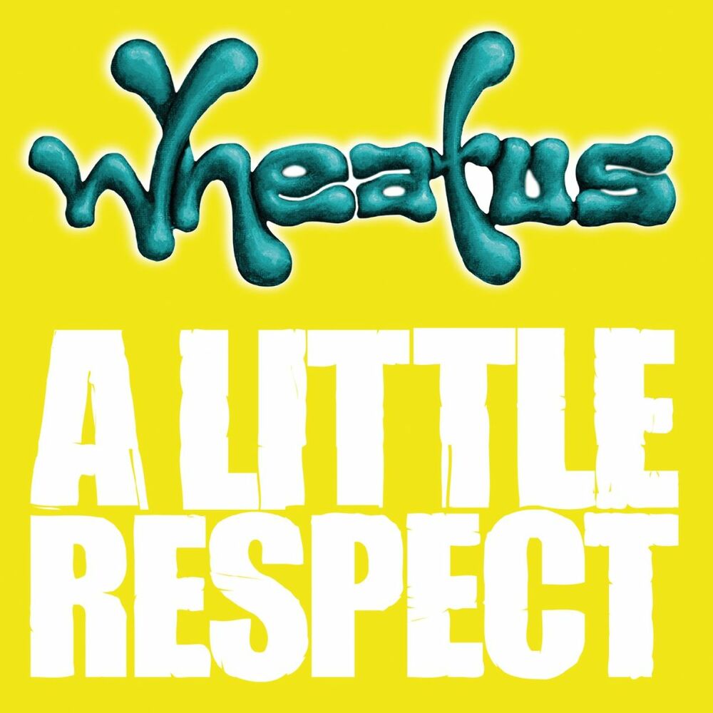 Picture of A Little Respect