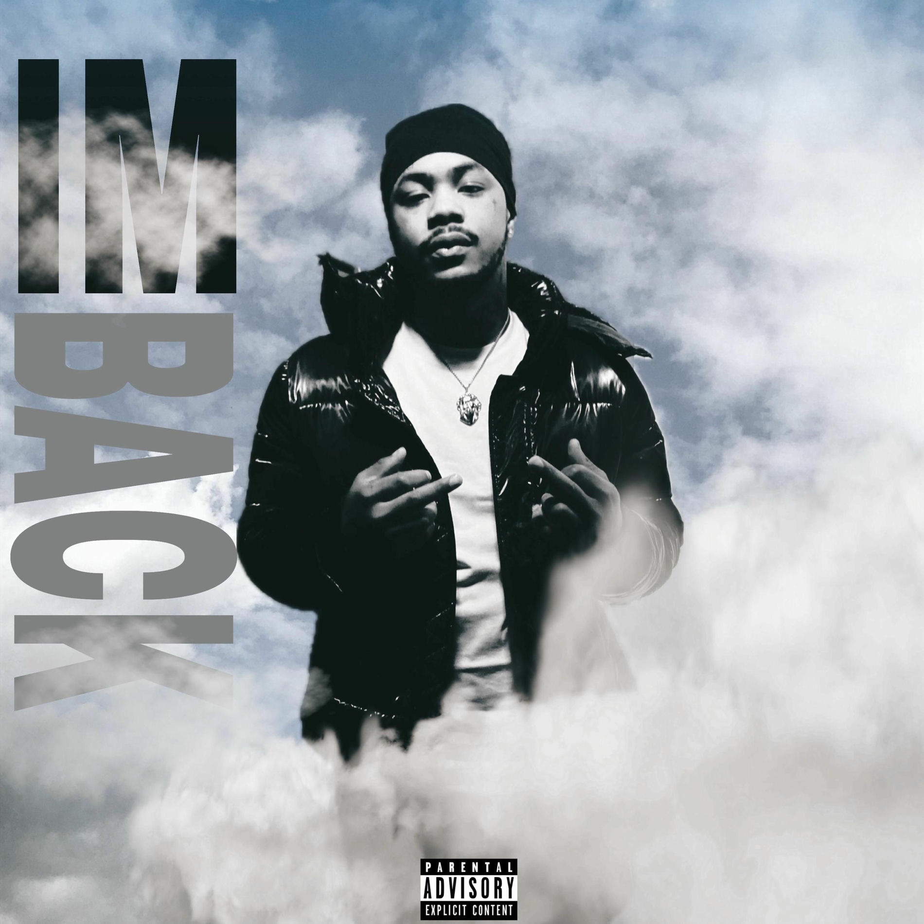 Album cover of IM BACK