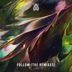 Cover of Follow (The Remixes)